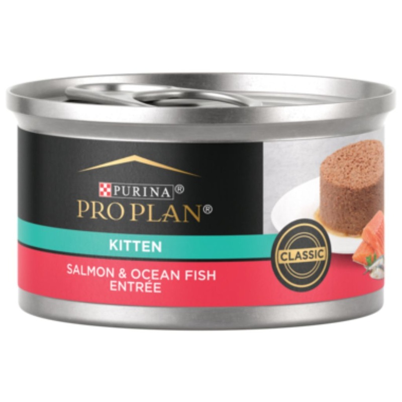 Purina Pro Plan - All Breeds, Kitten Salmon & Ocean Fish Entre Classic Canned Cat Food