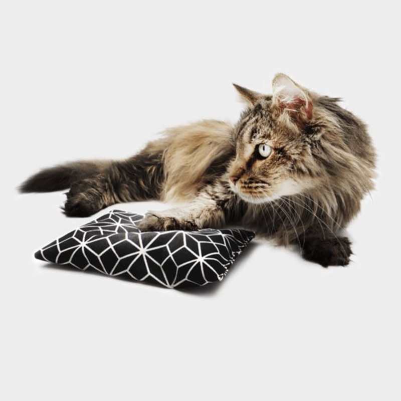 4cats Rustling Catnip Cushion